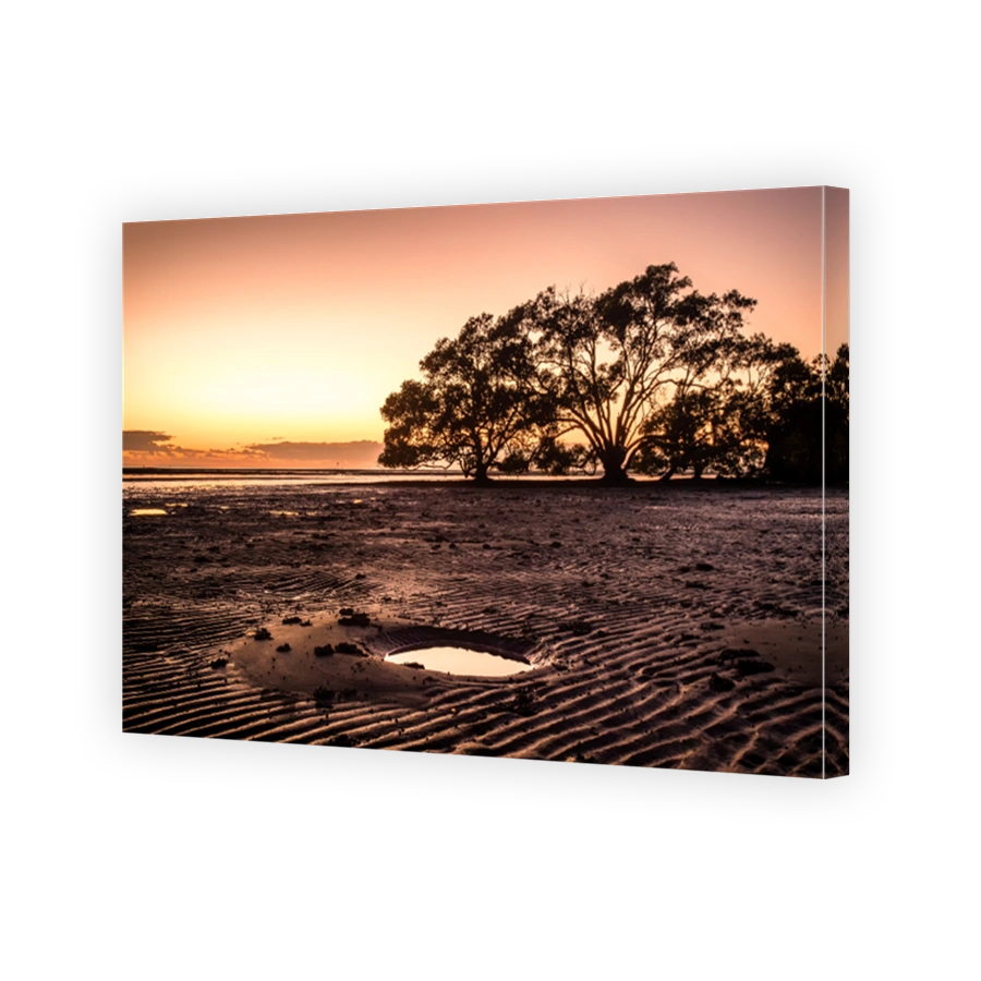 Scene of the Nudgee Beach in Brisbane before the sunrise