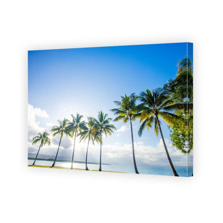 Port Douglas in North Queensland, Australia