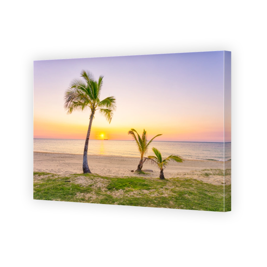 Moreton Island palm trees at sunset
