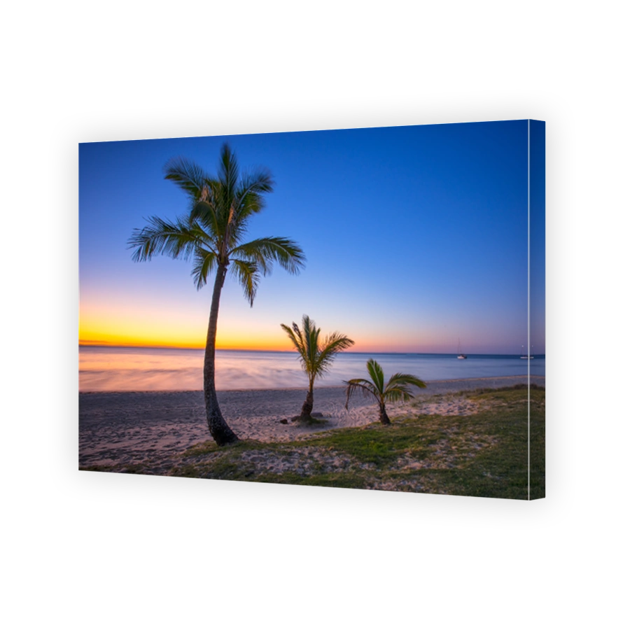 Moreton Island palm trees at sunset