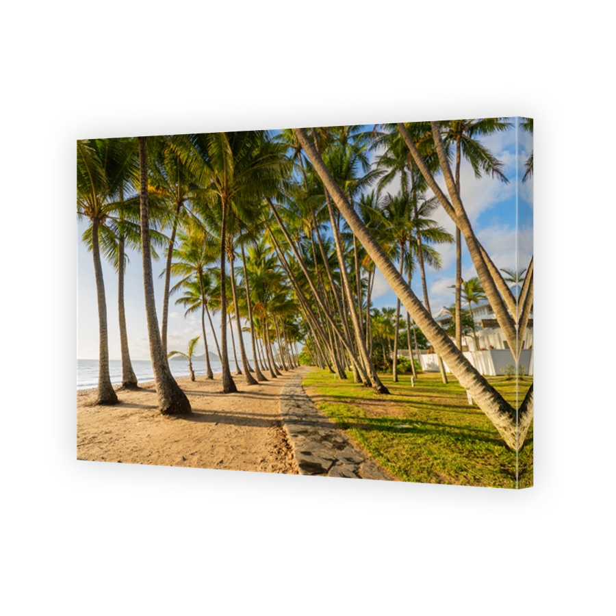 Palm Cove sunrise in Carins, Queensland, Australia