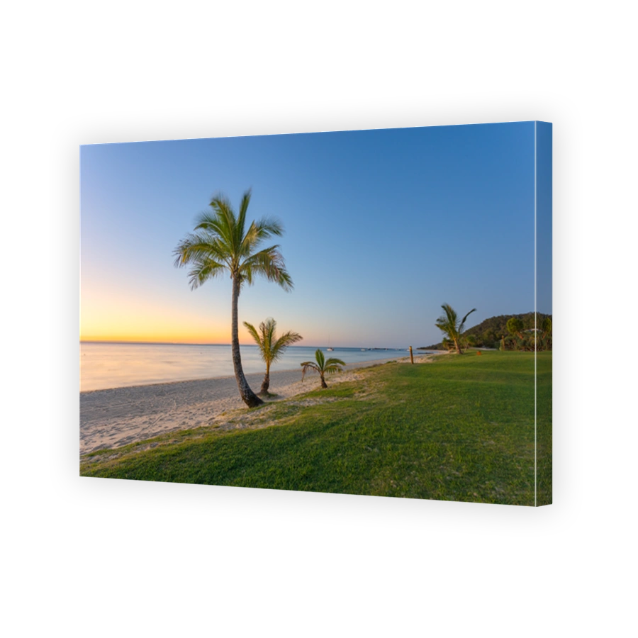 Moreton Island palm trees at sunset