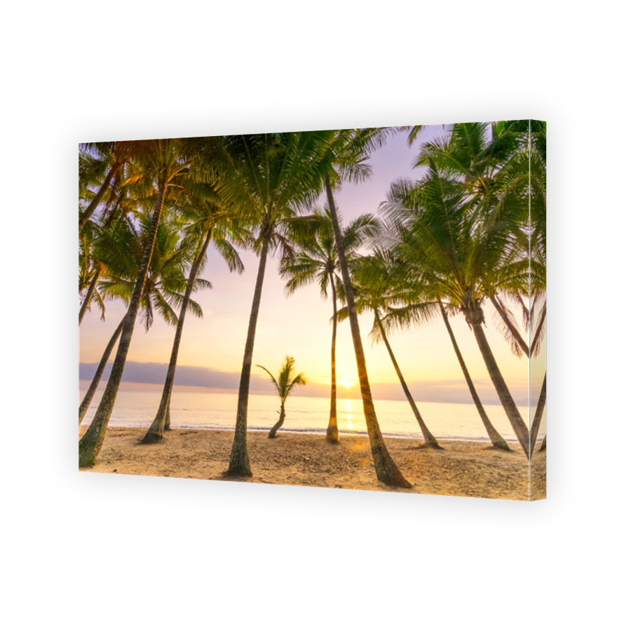 Palm Cove in Carins, Queensland, Australia