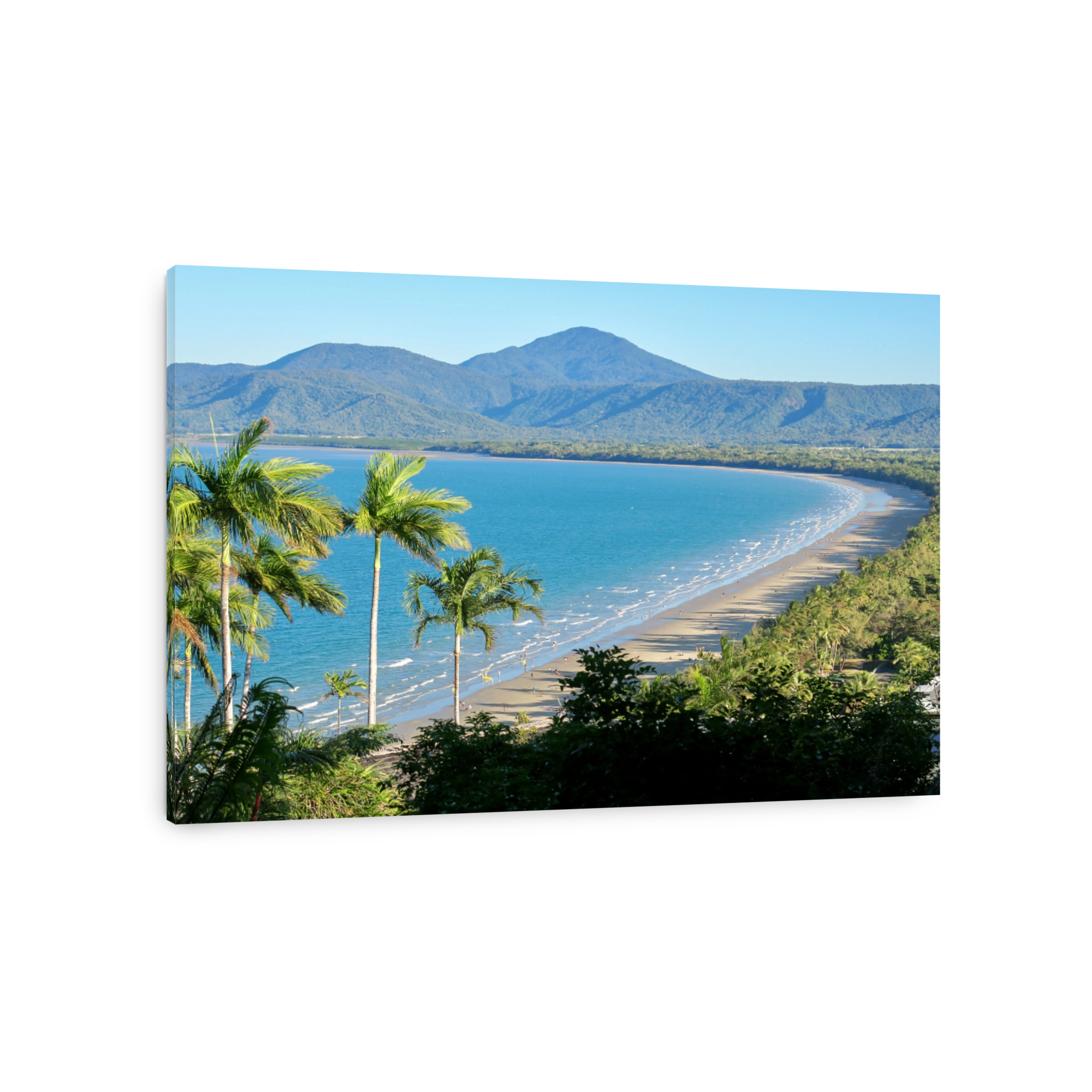 Beautiful Coastal Scenery of Four Mile Beach in Port Douglas