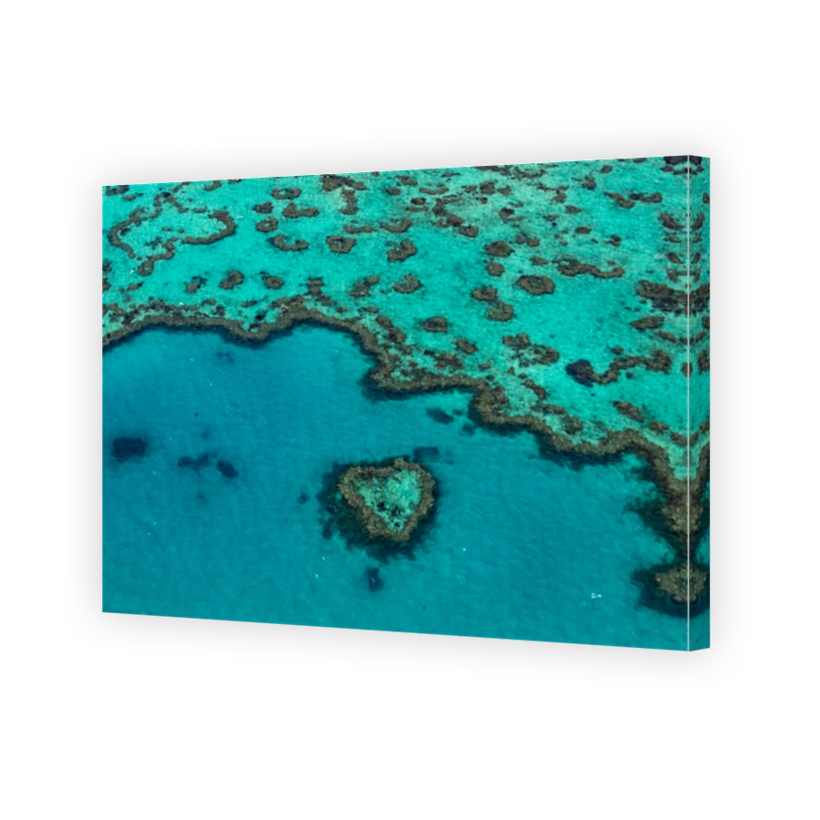A close up view of the Heart Reef and the Hardy Reef (Great Barrier Reef) from the air