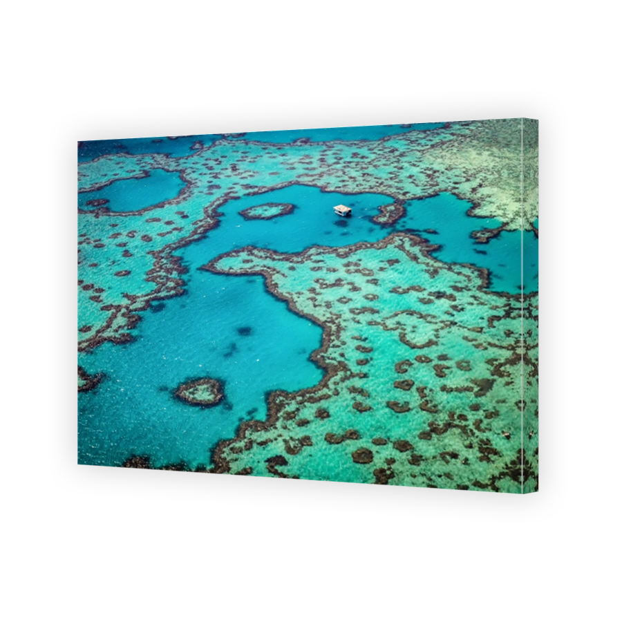 The aerial view of the Great Barrier Reef and the famous heart reef from helicopter