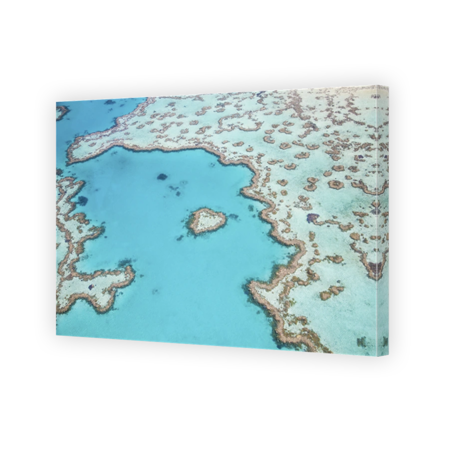 Aerial View of the Heart Reef
