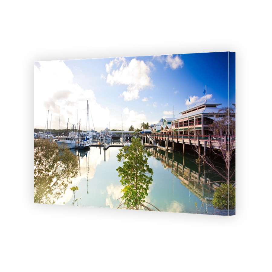 A harbour with some yachts in port douglas, australia