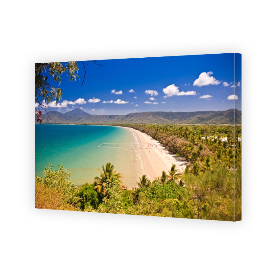Aerial view of a beach