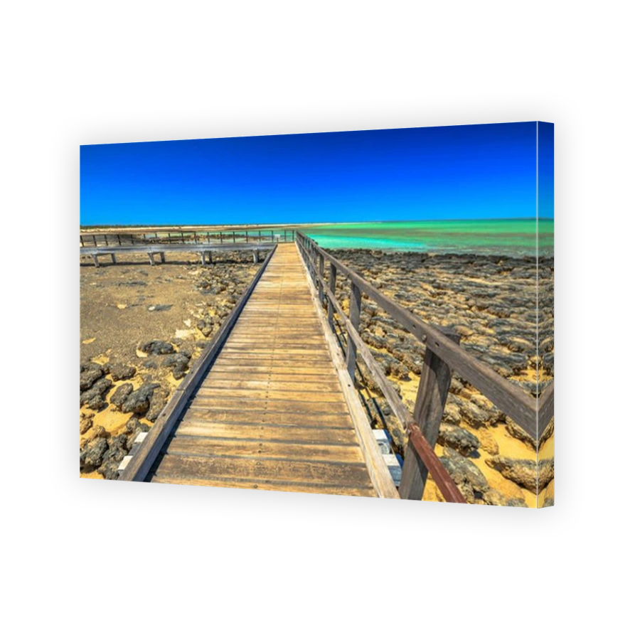 Point of view of wooden walkway at Hamelin Pool Stromatolites, a protected Marine Nature Reserve in Shark Bay, Western Australia. Sunny day with blue sky. Copy space.