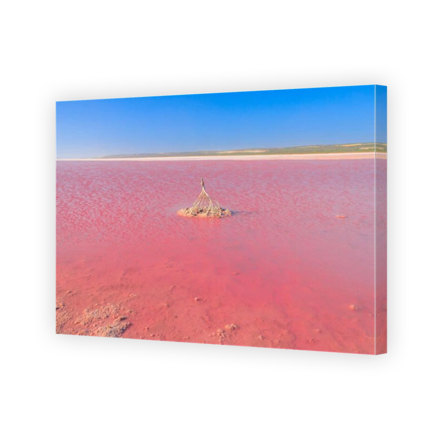 Pink Salt Lake in Gregory, Western Australia. Horizon landscape of Hutt Lagoon between Geraldton and Kalbarri. Vivid pink color for the presence of algae in summer. Blue sky with copy space.