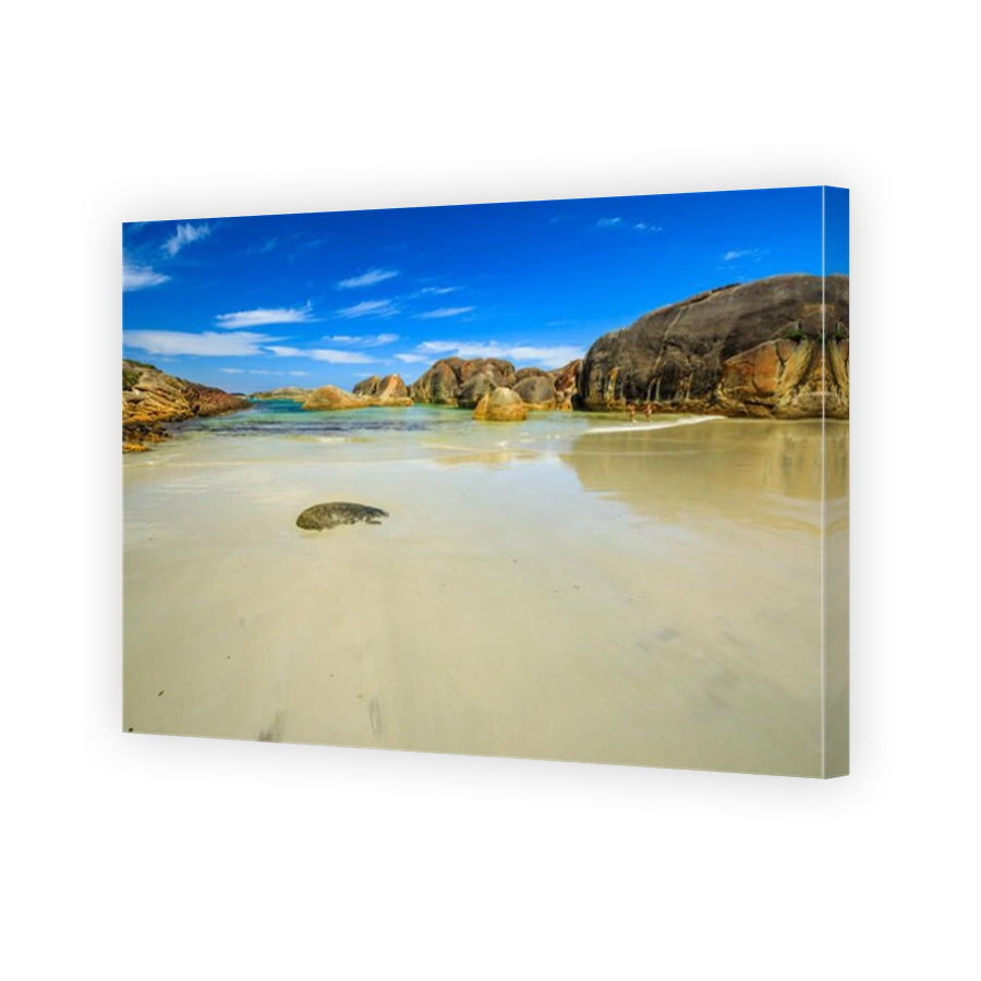 Elephant Cove Beach in William Bay NP, Western Australia in summer. The beach is surrounded by giant boulders and volcanic rock, white and pristine. Great Southern Ocean. Copy space, blue sky.