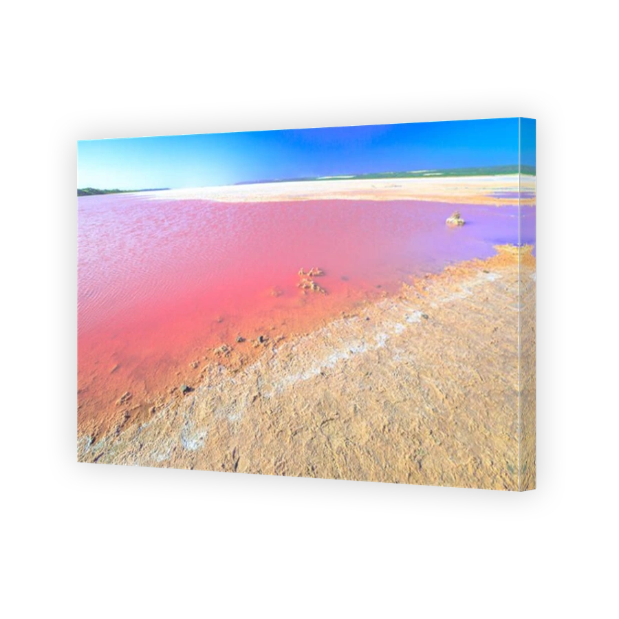 Pink Salt Lake at Gregory in Western Australia. Scenic shore of Hutt Lagoon between Geraldton and Kalbarri, with a vivid pink color for the presence of algae in summer.Horizon blue sky with copy space