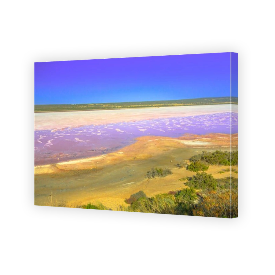 Aerial view from Pink Lake lookout of Salt Lake in Port Gregory, Western Australia. Hutt Lagoon is pink color for the presence of algae. Popular attraction in Australia. Copy space.