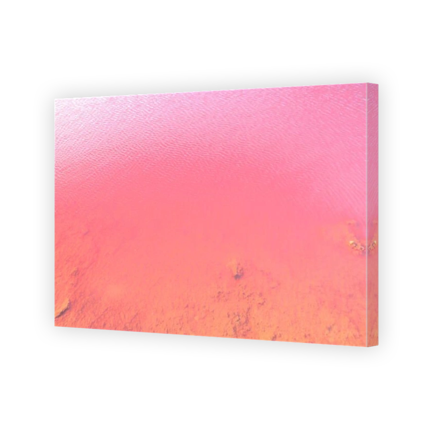 Natural pink water backgroung. Closeup of Pink Lake in Gregory, Western Australia. Salt lake or Hutt Lagoon with vivid pink color for the presence of algae in summer.
