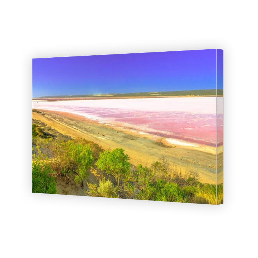 Pink Lake lookout over Salt Lake in Gregory, Western Australia. Aerial view of Hutt Lagoon in pink color for the presence of algae. Popular
