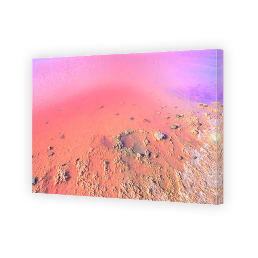 Natural Pink Lake shore backgroung. Details of Salt Lake in Gregory, Western Australia. Scenic Hutt Lagoon with vivid pink color for the presence of