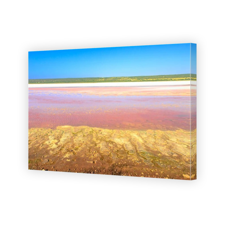 Pink Lake in Port Gregory Road at Gregory in Western Australia. The Hutt Lagoon is a pink color for the presence of Dunaliella algae. Popular attracti