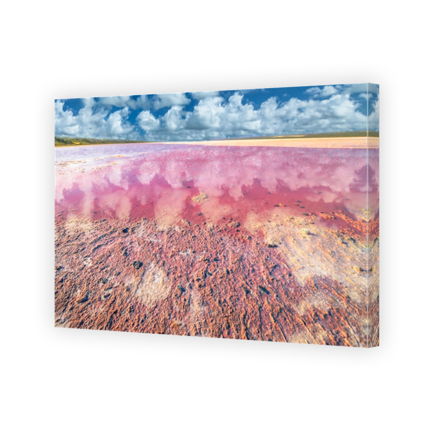 Pink Lake Western Australia