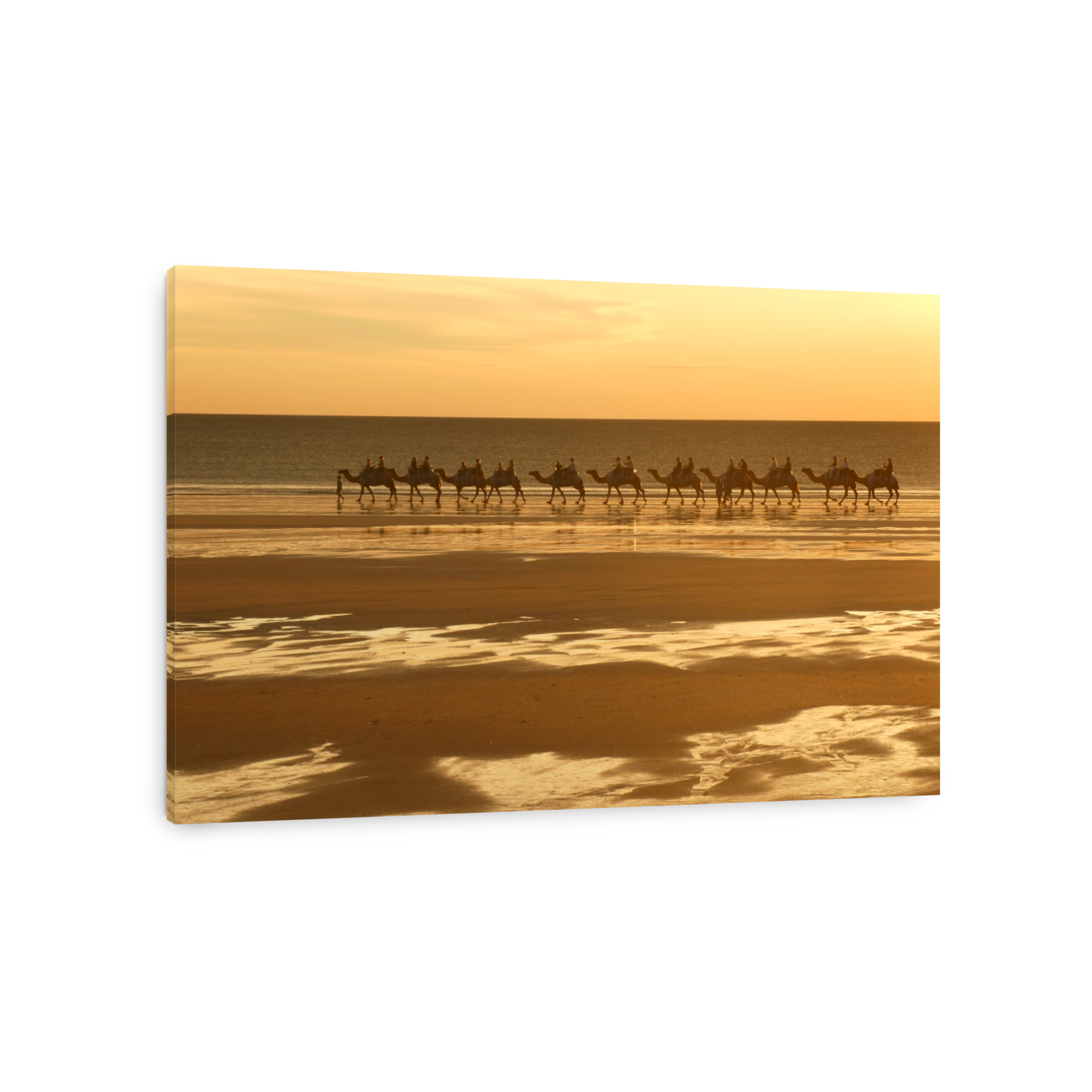 Camels at sunset on Cable Beach Broome