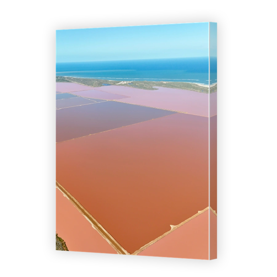 Aerial view of Hutt Lagoon, the Pink Lake in Port Greg