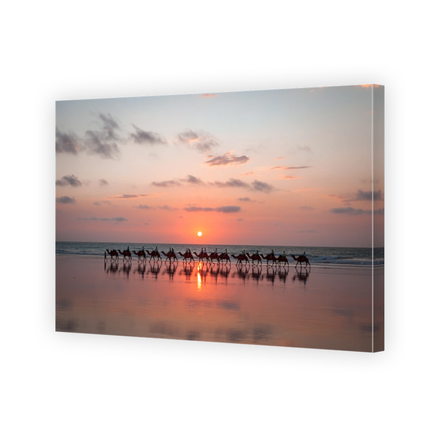 Sunset Camel Ride Cable Beach