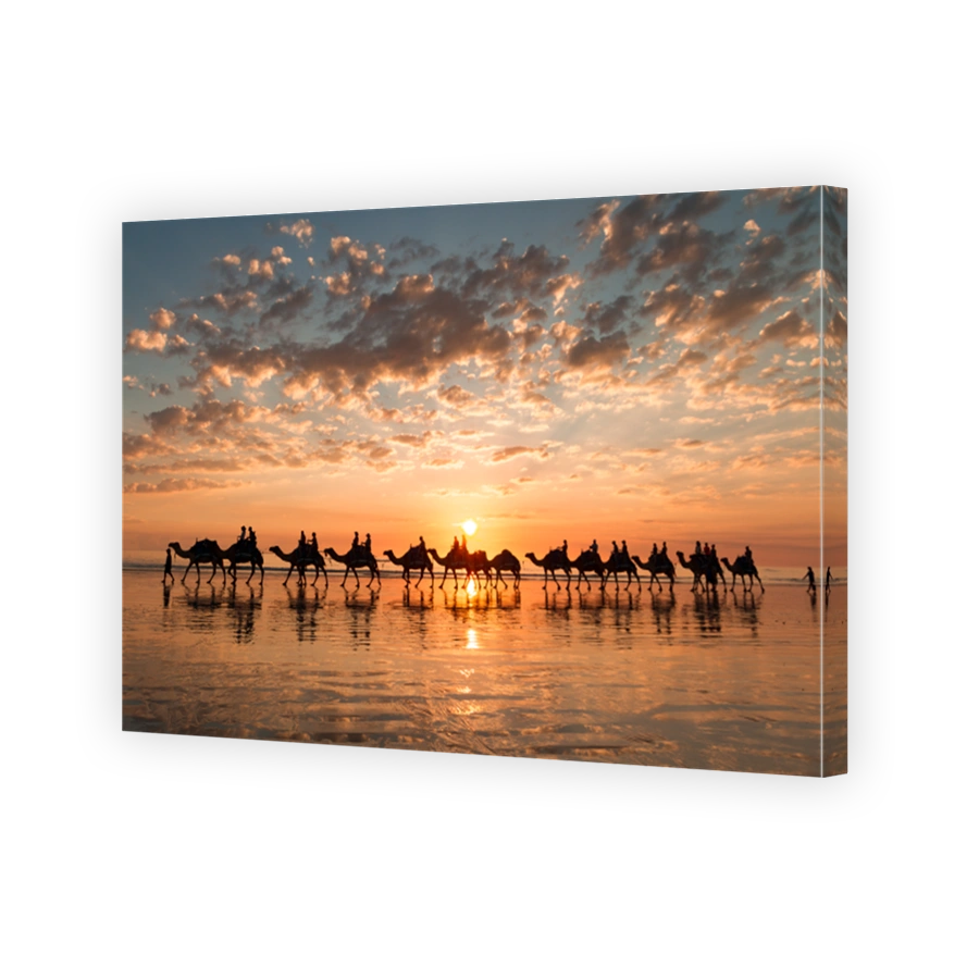 Sunset silhouette of the camels on Cable Beach, Broome, Western Australia.