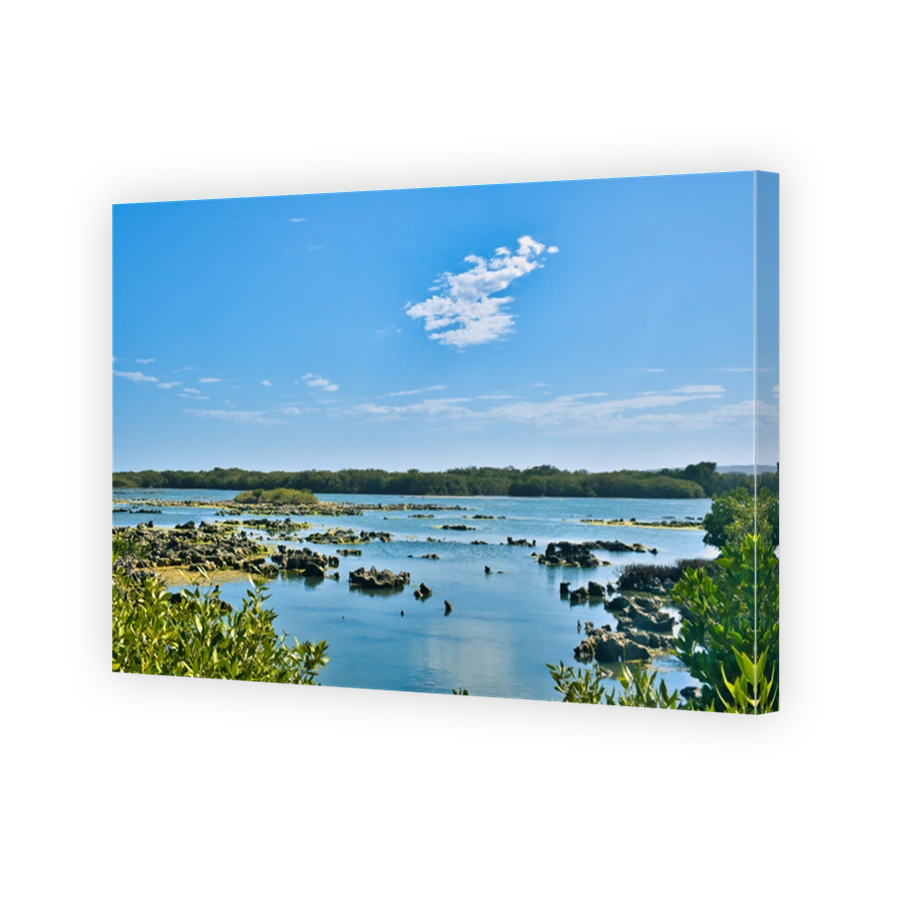 Lagoon in the bird sanctuary with mangrove forest, Cape Range National Park, Western Australia