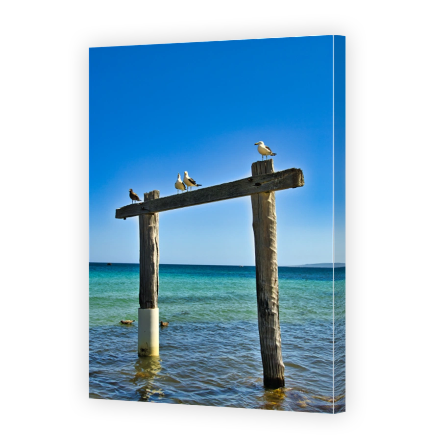 Weathered posts of the old jetty