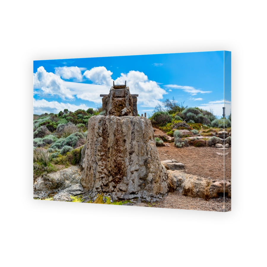 Cape Leeuwin water wheel, sometimes called the petrified water wheel, is a non-operating water wheel, near Cape Leeuwin, in the south-west of WA.