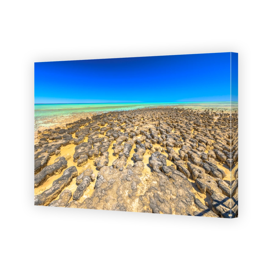 Stromatolites Western Australia