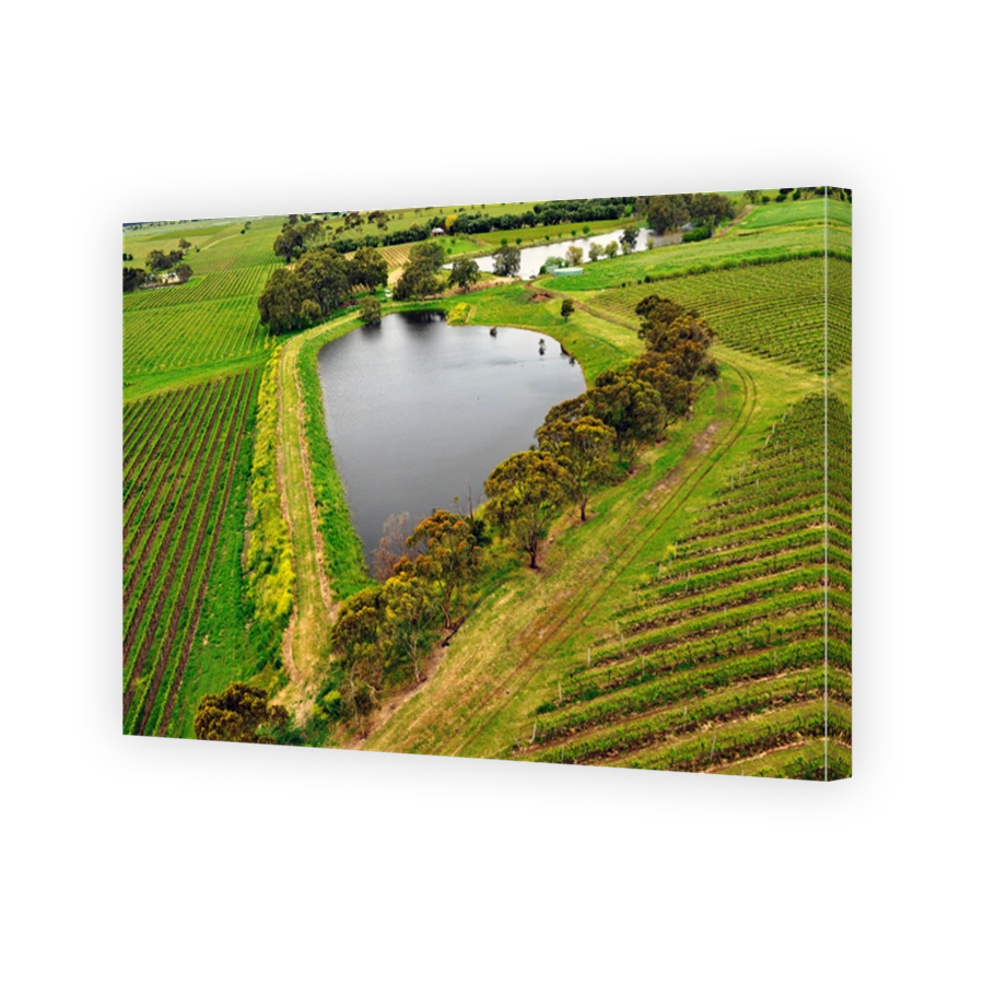McLaren Vale Vineyards