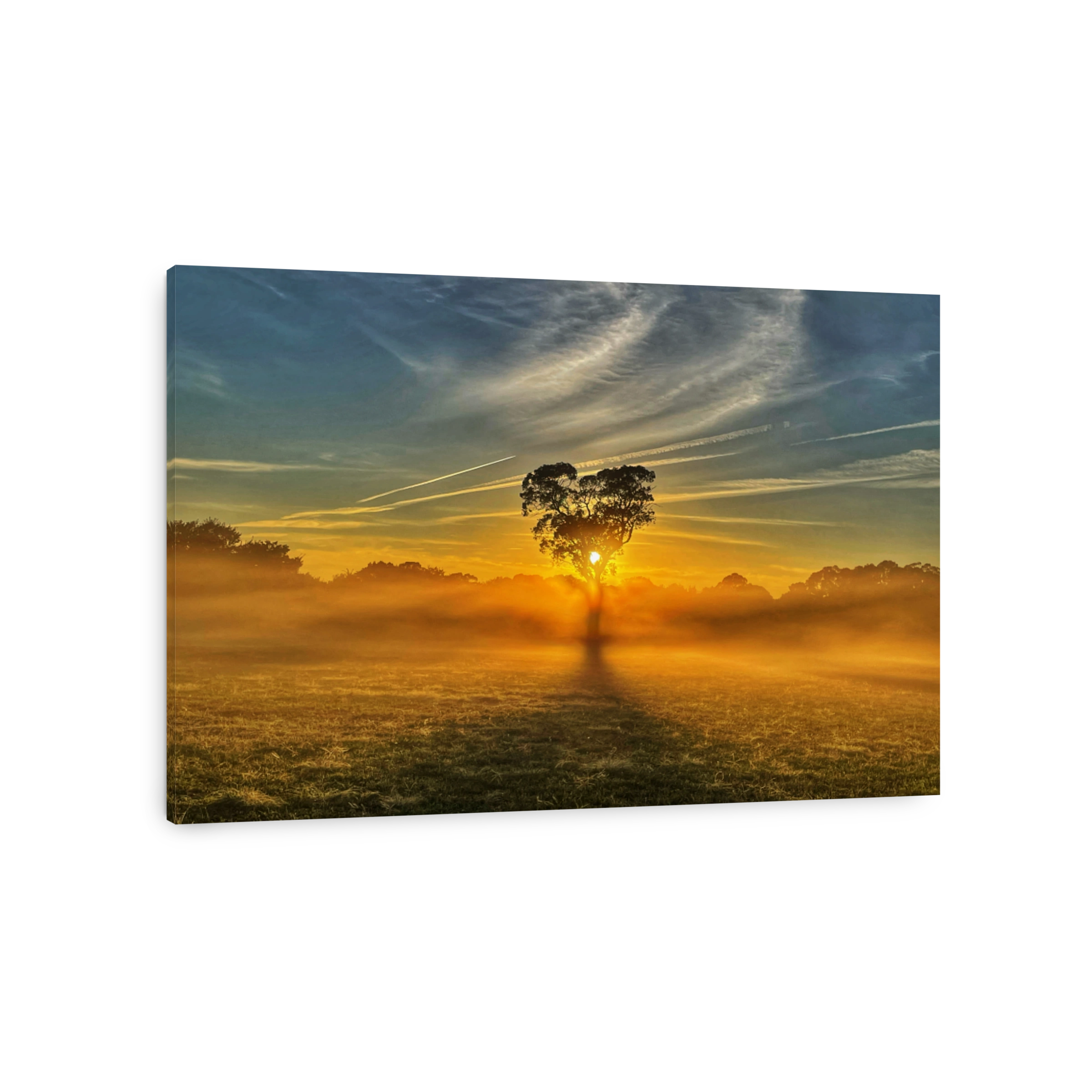 Lone Tree