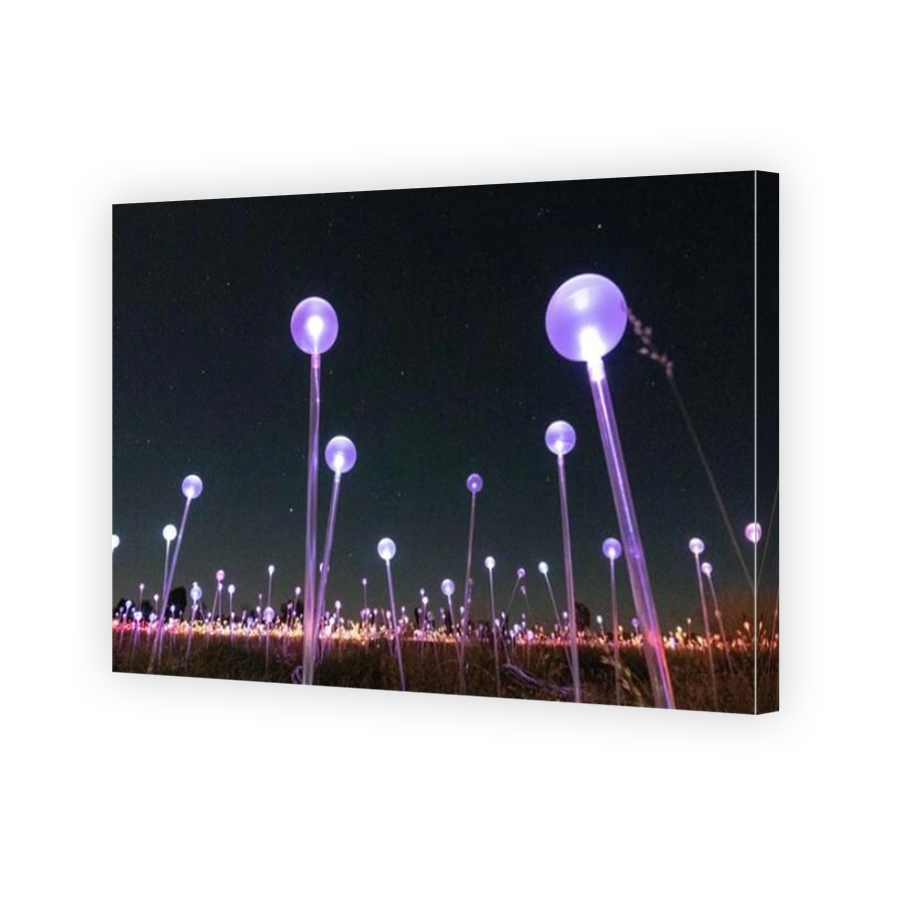 Field of Light art installation by artist Bruce Munro at Uluru in Central Australia .