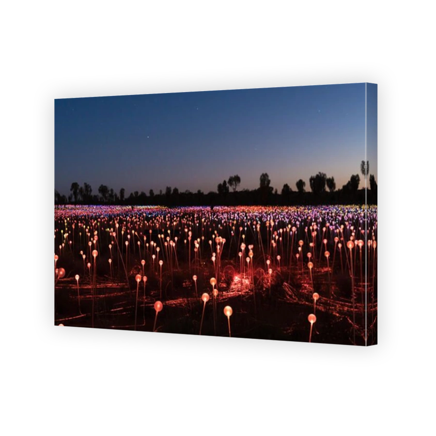 Yulara, Australia - October 12, 2016: Field of Light by artist Bruce Monro at Ayers Rock / Uluru, Australia