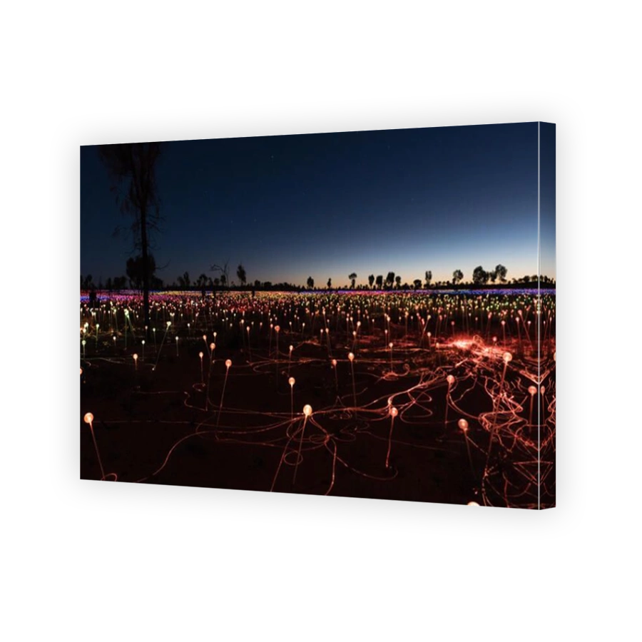 Field of Light by artist Bruce Monro at Ayers Rock / Uluru, Australia has thousands of coloured lights