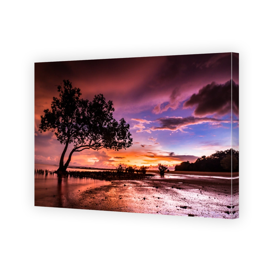 Tree Silhouette