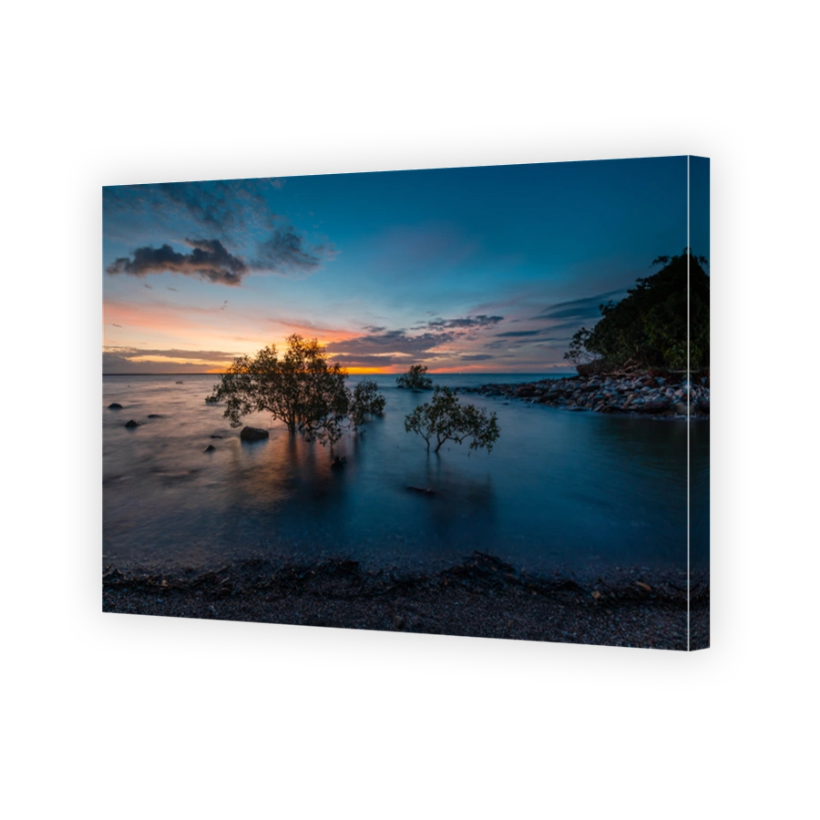 Sunset on the beach with trees