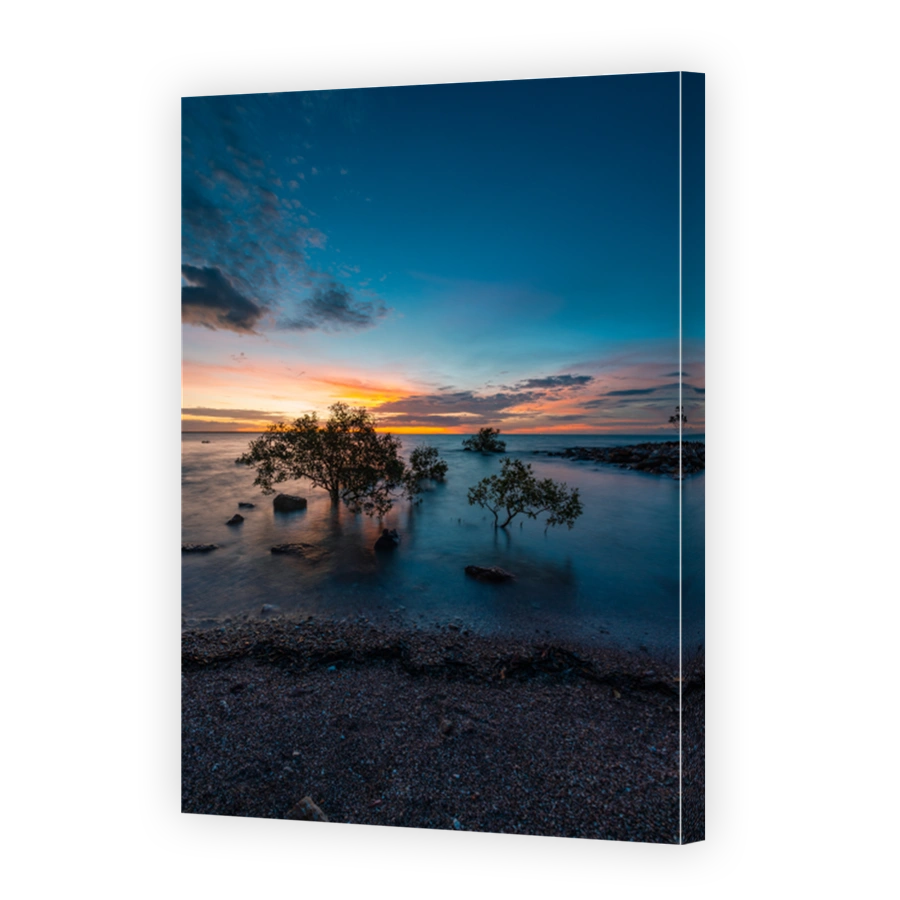 Sunset on the beach with trees