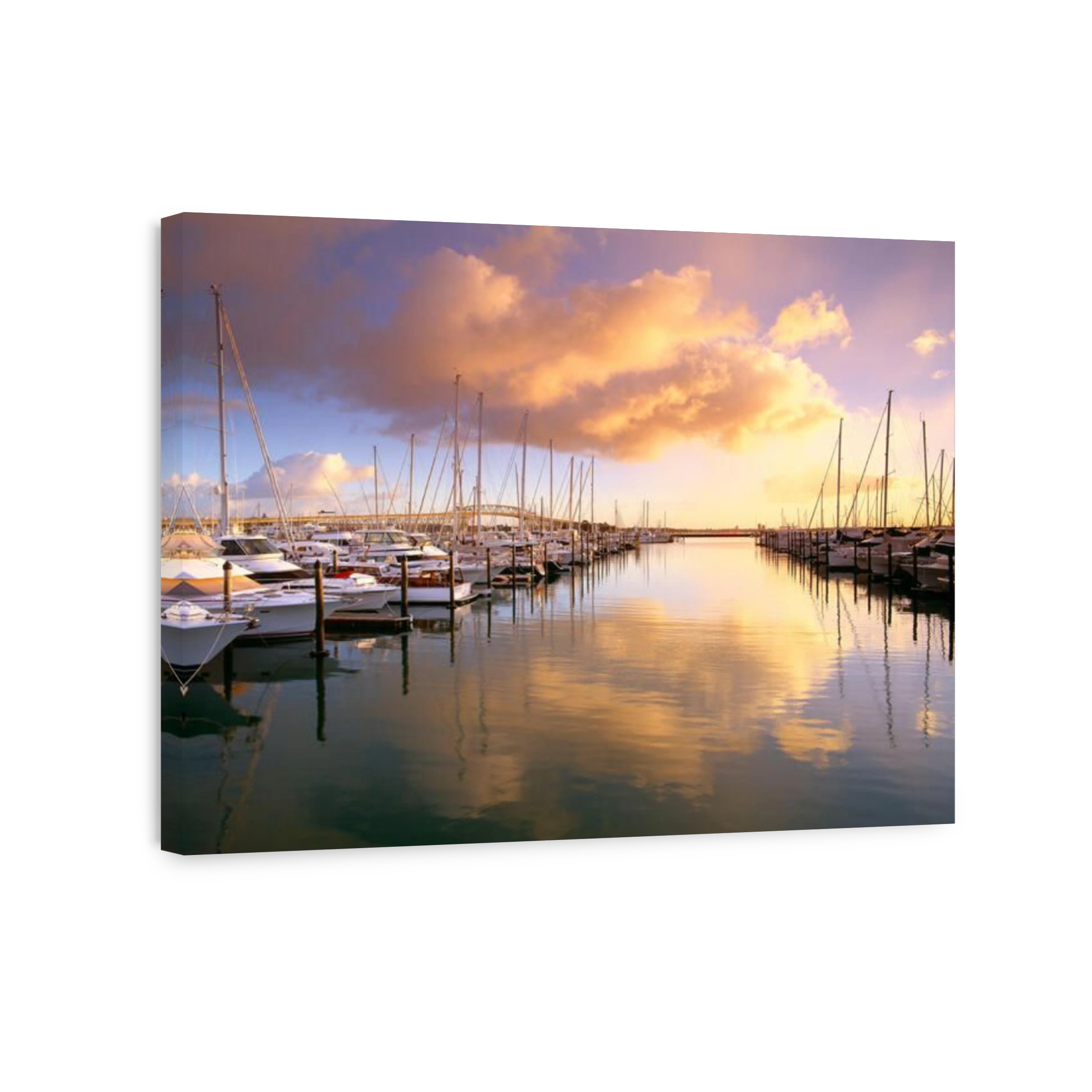New Zealand. Auckland. Yachts in marina at sunrise.
