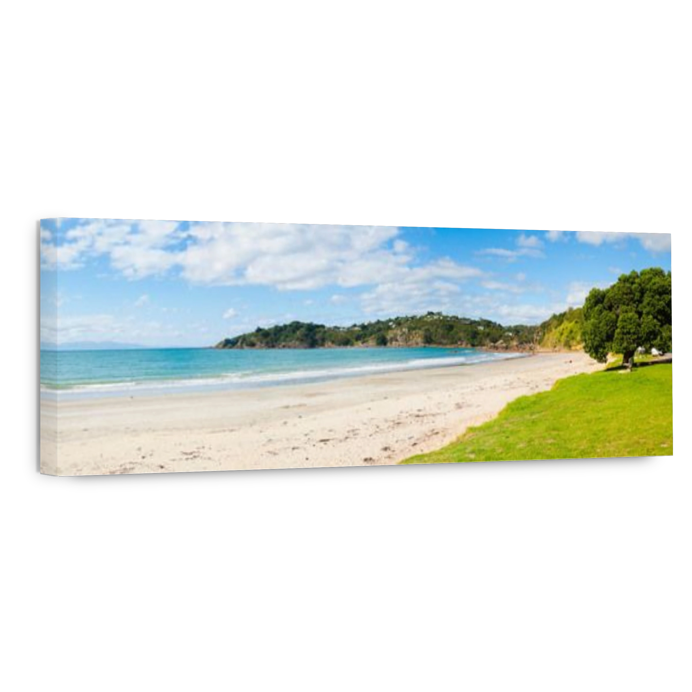 Oneroa Beach, Waiheke Island, Auckland, North Island, New Zealand