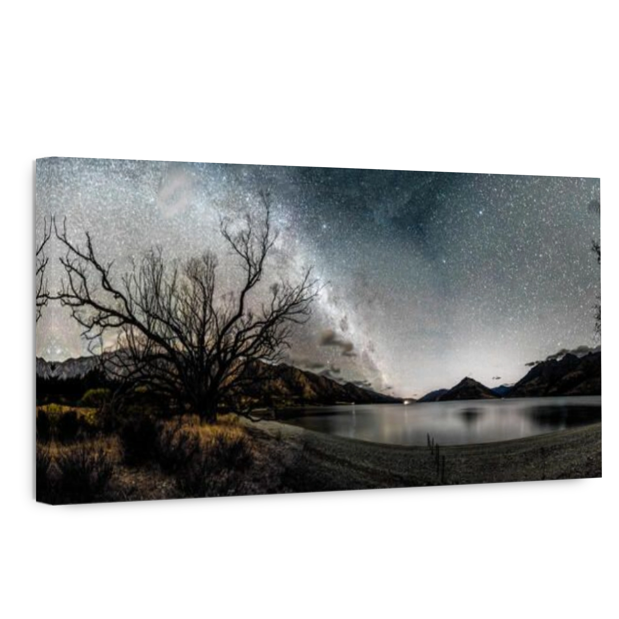 Old Tree and Lake Wakatipu under starlit sky - with Milky Way