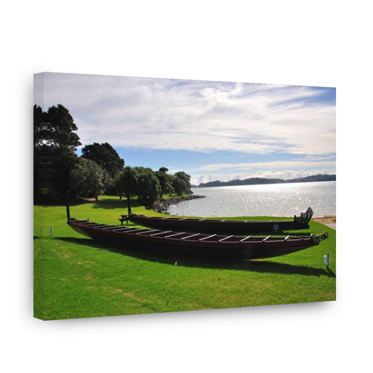 Maori canoes, Hobson's Beach, Waitangi Treaty Grounds, Waitangi, Bay of Islands, Northland Region, North Island, New Zealand