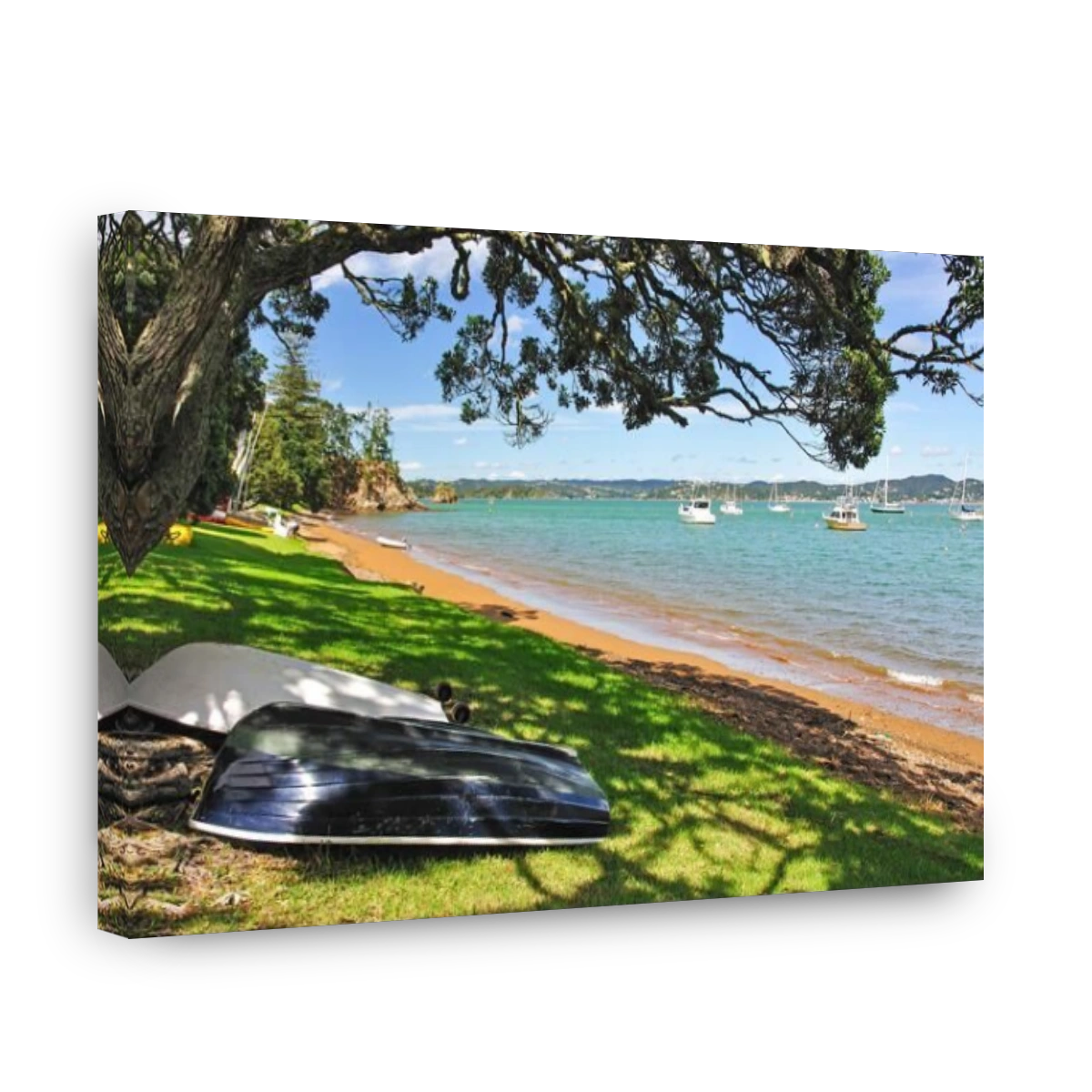 Beach waterfront, Russell, Bay of Islands, Northland Region, North Island, New Zealand