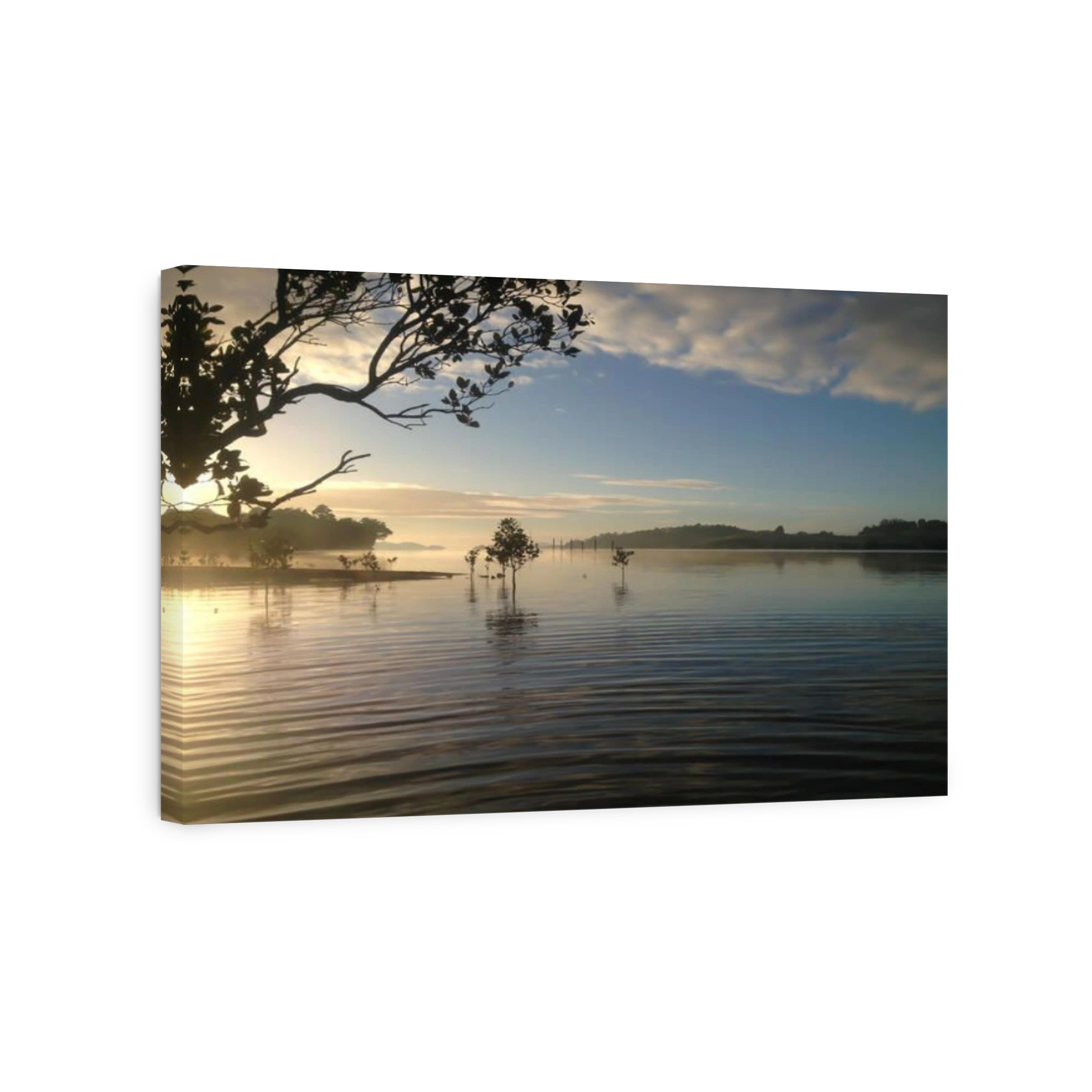 Sea mist, ripples and reflections on a winter's morning - Kerikeri Inlet, Northland, New Zealand, NZ