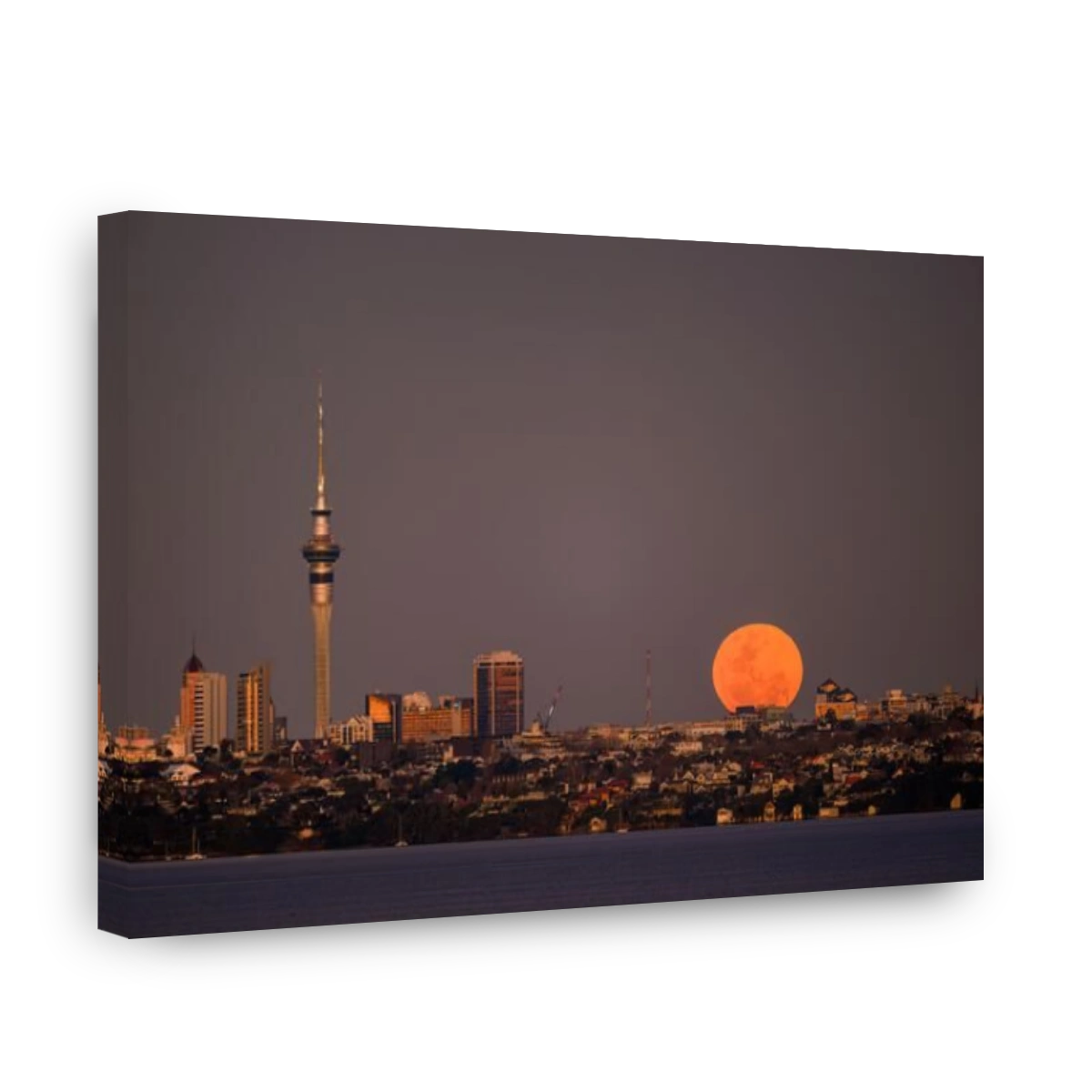 Super blue moon rising over Auckland city at sunset. Skytower and city buildings shining in the setting sun.