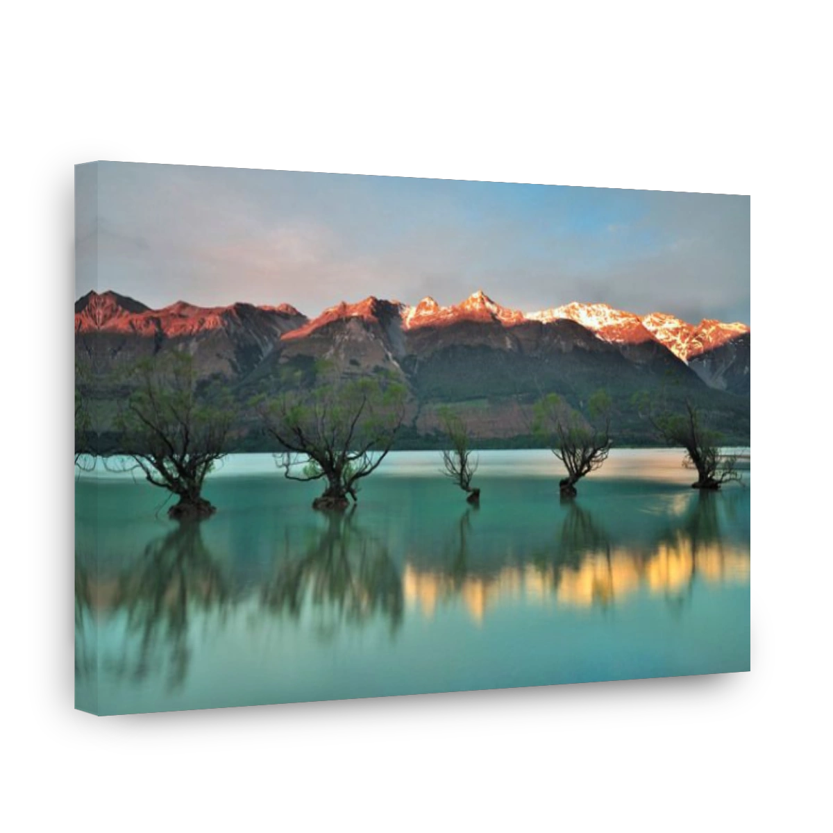 Floating Row Trees of Glenorchy, New Zealand