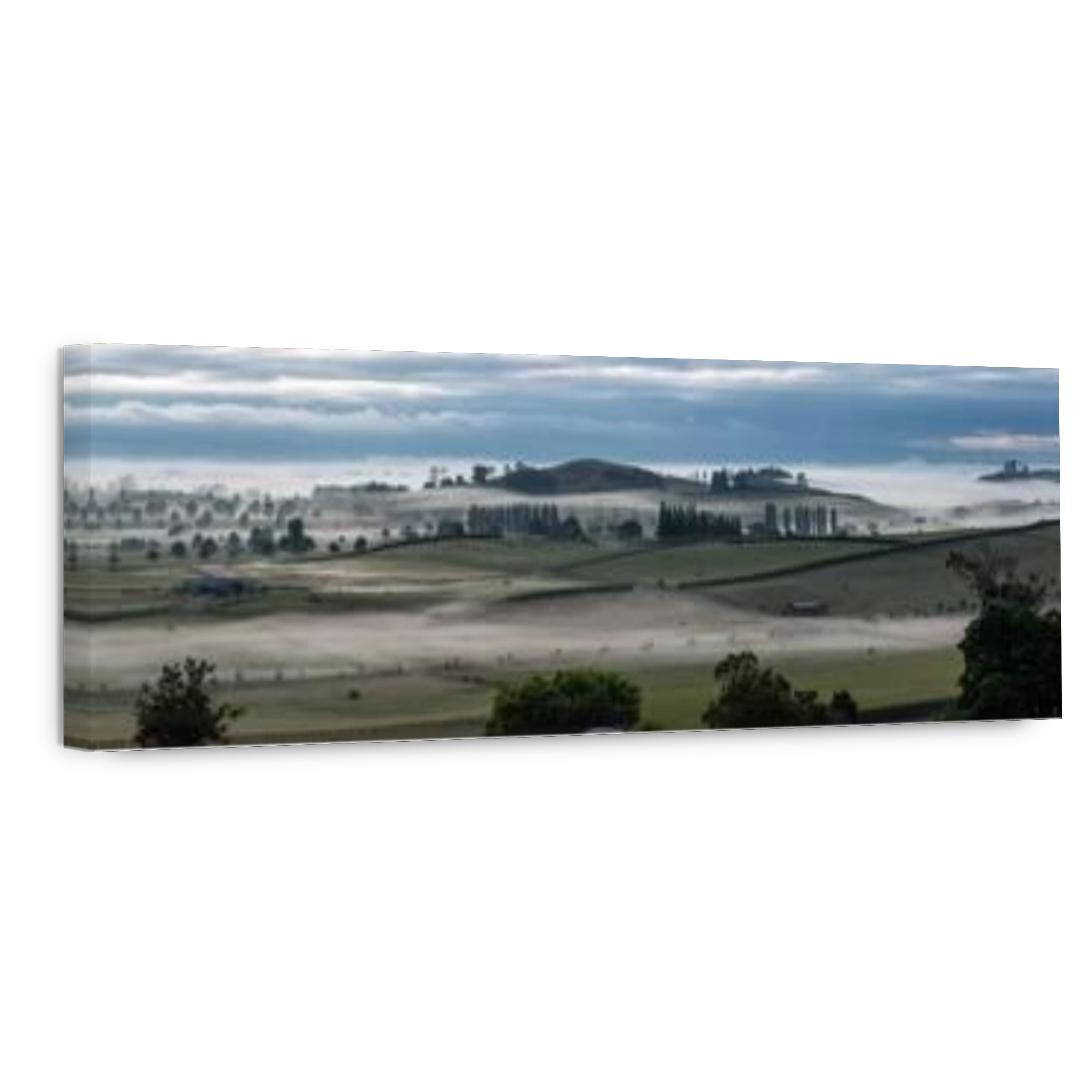 Panoramic view over farmland near Hobbiton in the very early morning, Clouds of mist pass by, North Island of New Zealand