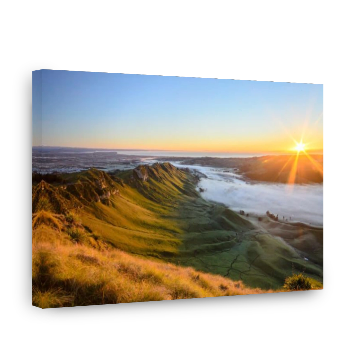 Morning at Te Mata, New Zealand