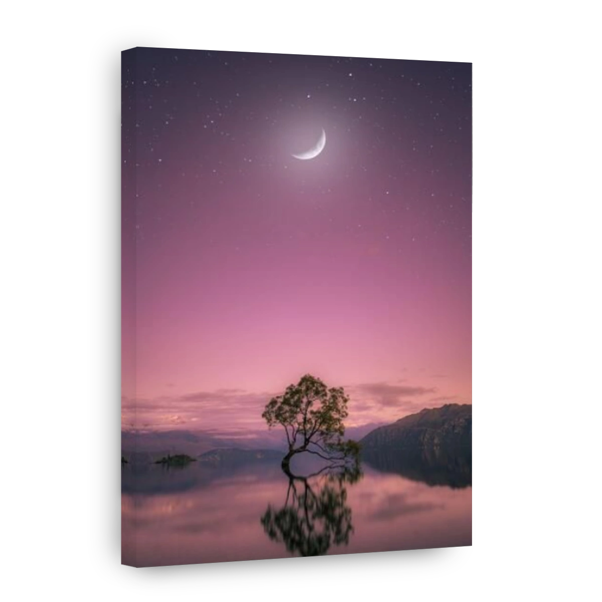That Wanaka Tree At Sunrise, Wanaka, New Zealand